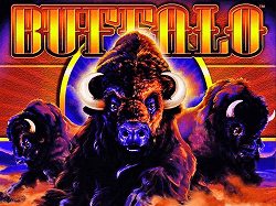 Alt preview buffalo