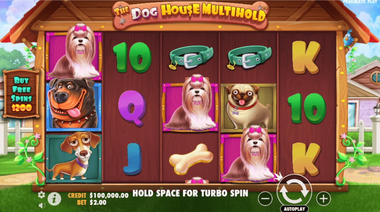 the dog house multihold slot